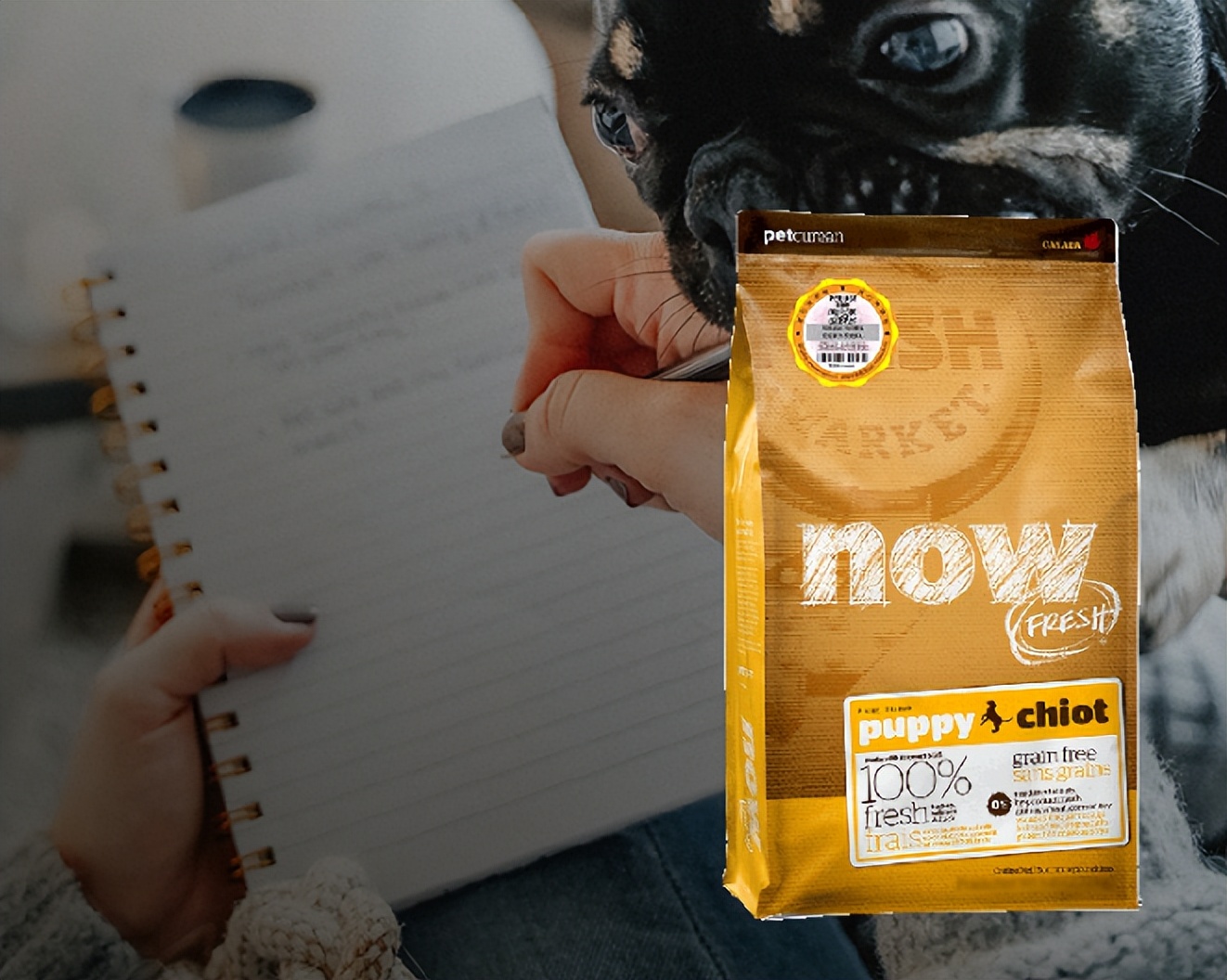 阿拉斯加幼犬狗粮排行榜,幼犬狗粮排行榜前十名