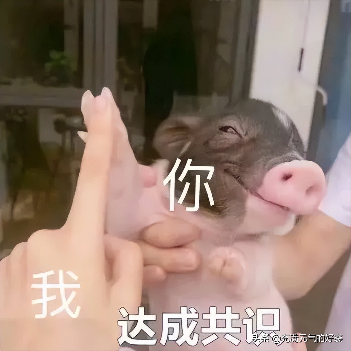 csc公派留学博士有哪些学校,csc公派联合培养博士名单