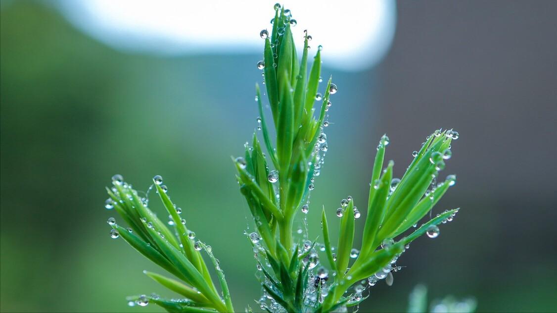 担心家具异味不好清除？你一定要知道这5条小妙招，快进来学习