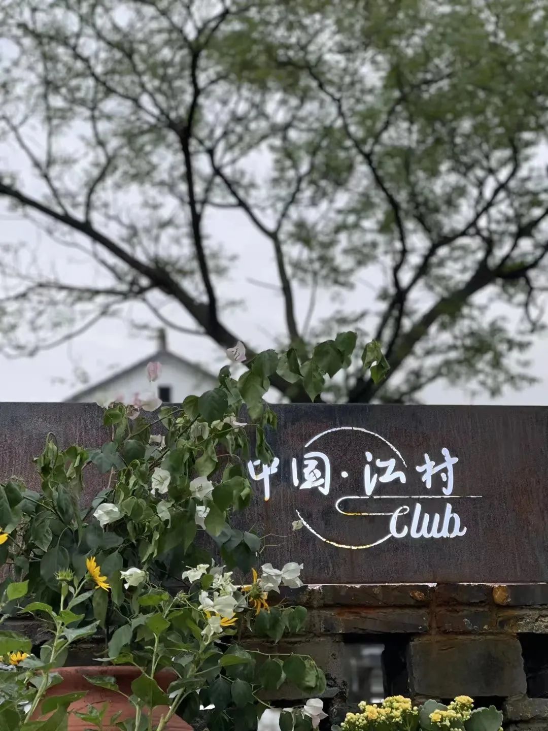 乡村振兴100讲全集,100个经典乡村振兴案例