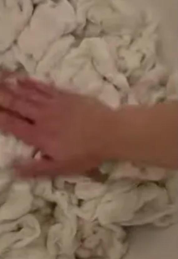 萨摩耶掉毛过程,萨摩耶铲屎官完整版