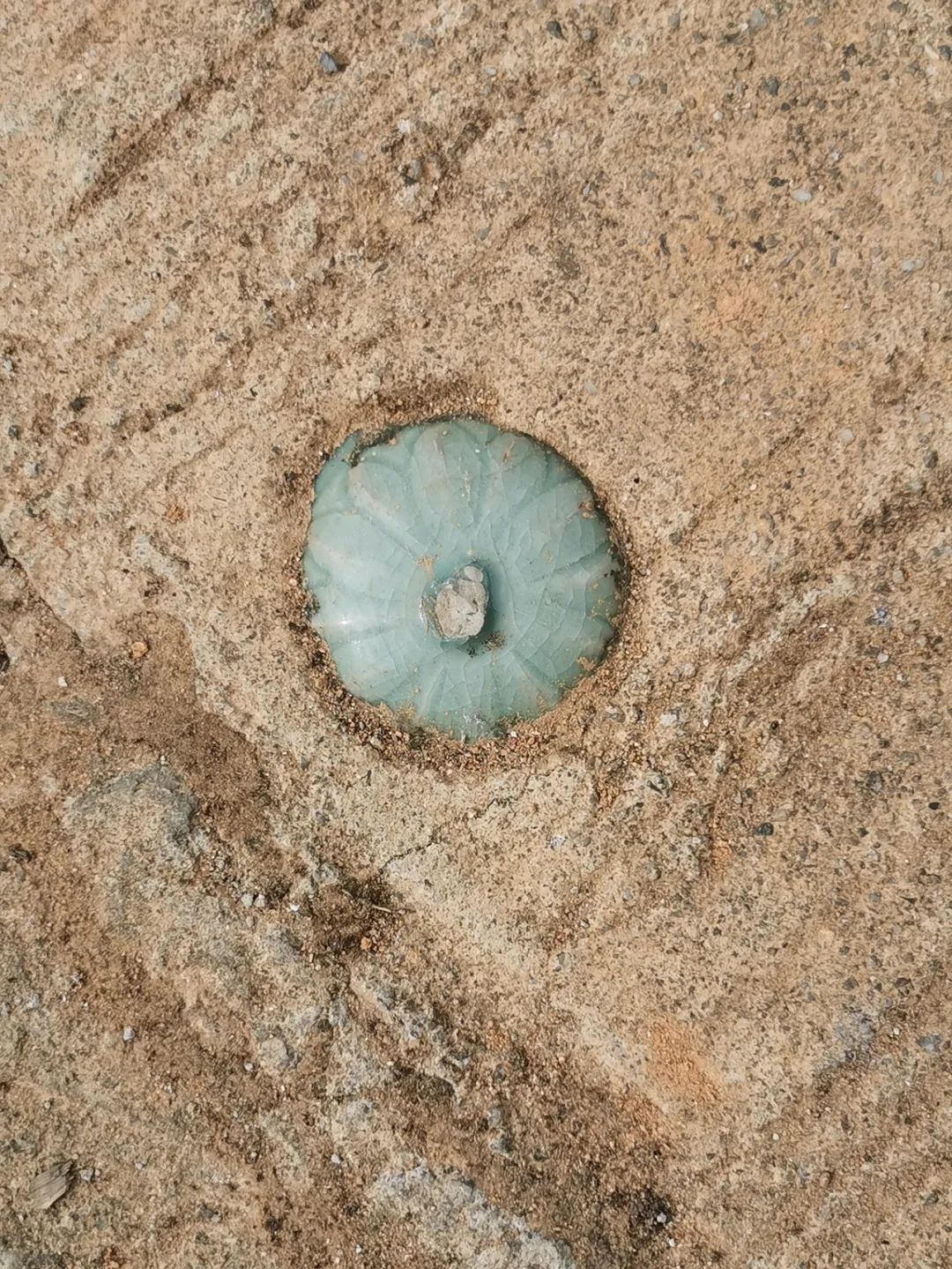 浙西南环游，喜欢龙泉，一座干干净净的山间小城