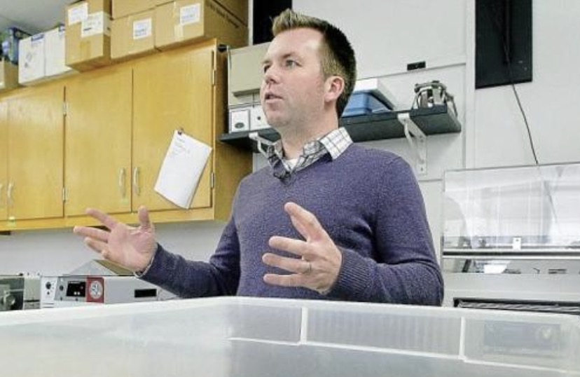 科学家记录鳄鱼首次孤雌生殖,美国雌性鳄鱼