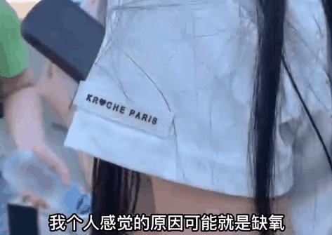 宠物托运出意外谁负责,宠物托运出问题是谁的责任