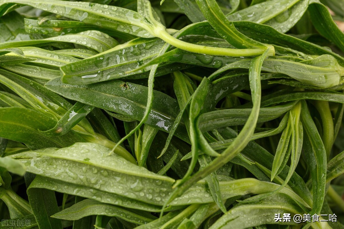 这3种野菜春天食用既美味又养生,北方地里春天都有哪些野菜可以吃