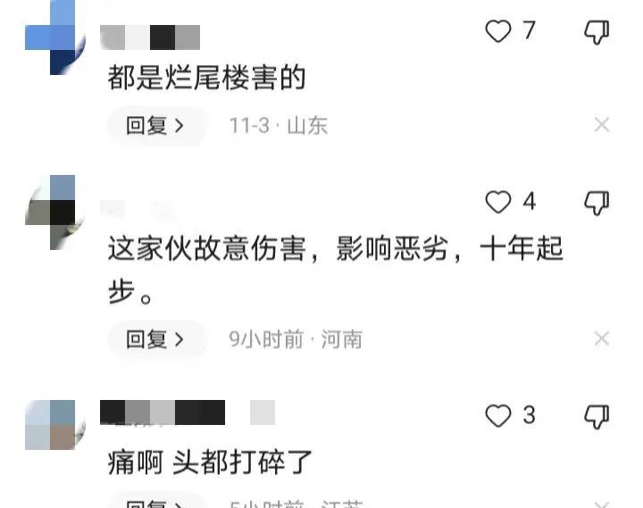 烂尾房开发商律师被打,开发商纠纷打官司