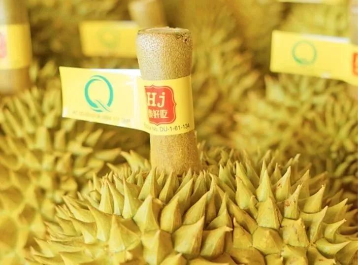 猕猴桃和车厘子哪种水果价值最高,车厘子榴莲高端水果