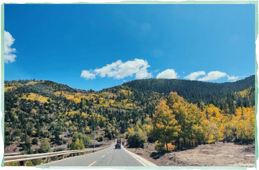 史上最苦亲子游，最惨时三人分一碗泡面！我为什么还要带年糕来？