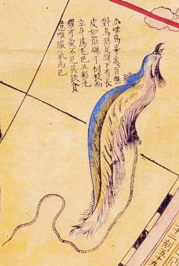 世界都有哪些神奇的动物??「坤舆全图」告诉你