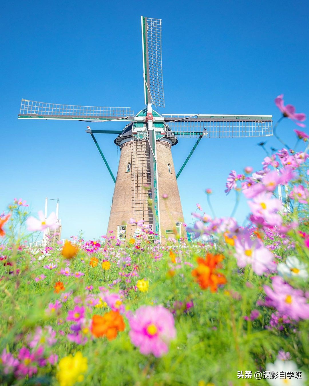 风景手机拍照教程零基础学摄影,新手手机拍照风景技巧
