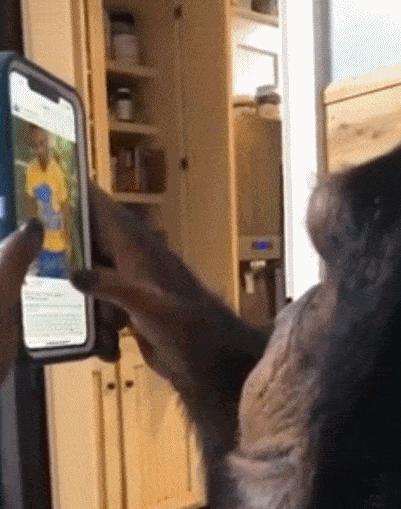 图片处理软件最好用的一款,实用的图片处理软件工具推荐