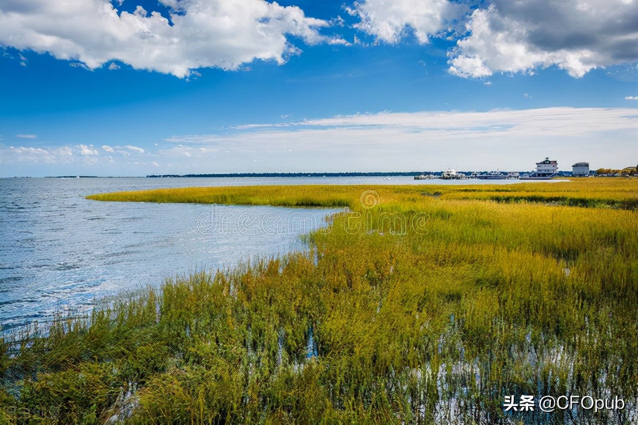 借款费用的计量,中级实务借款费用的计量