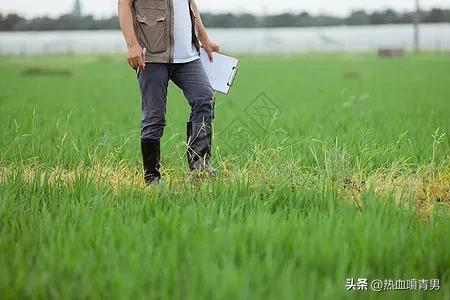 新型农业农民证,新型农业农民资格证书