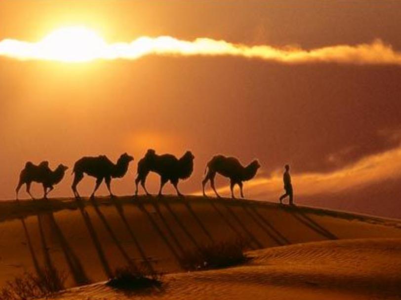 英国教授谈中国文明,英国教授中国崛起不可怕