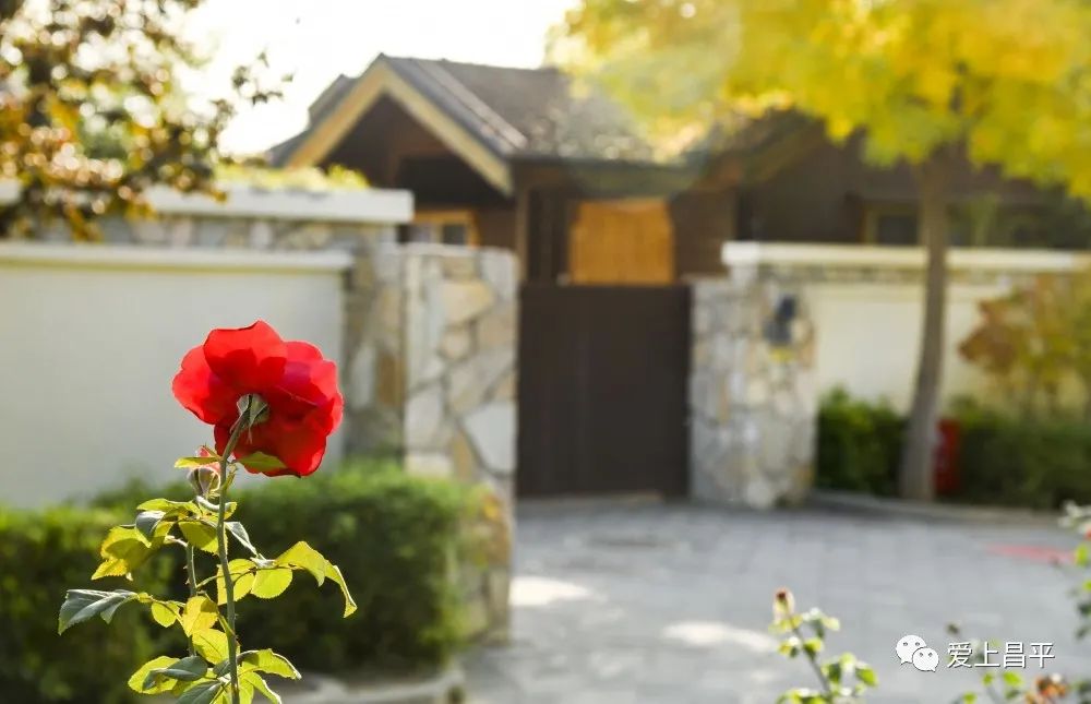 北京京郊私汤小院,北京门头沟私汤温泉小院推荐
