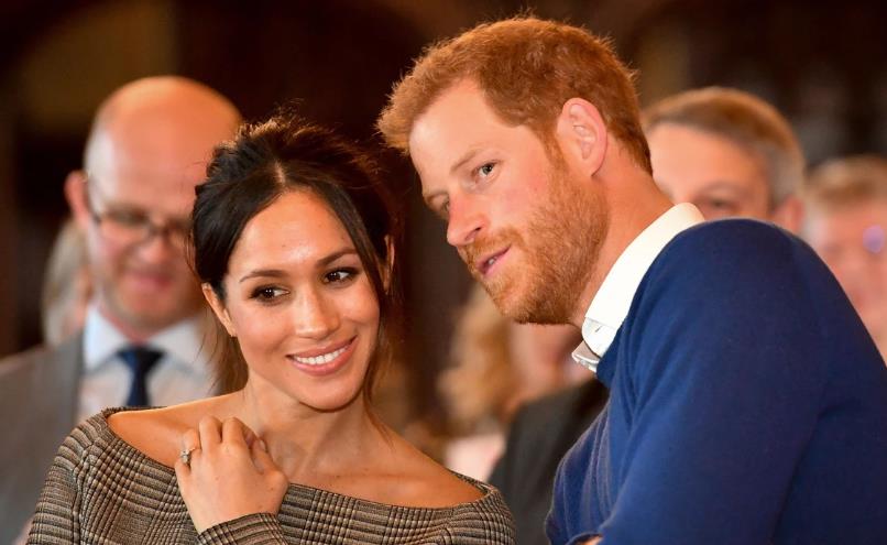 梅根哈里赚钱,梅根哈里靠什么赚钱