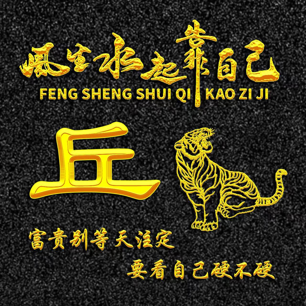 超级好看的生肖金姓氏头像,姓氏头像十二生肖带字的帅气