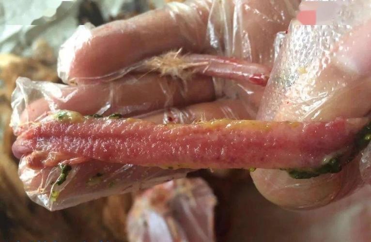 浣庨挋楗叉枡,浣庨挋鏃ョ伯