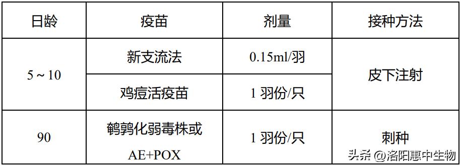 鸡痘症状及治疗方案,鸡痘高发期如何防控