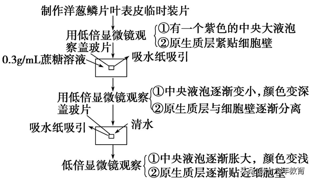 高中生物测验考什么,高中生物必考实验有哪些