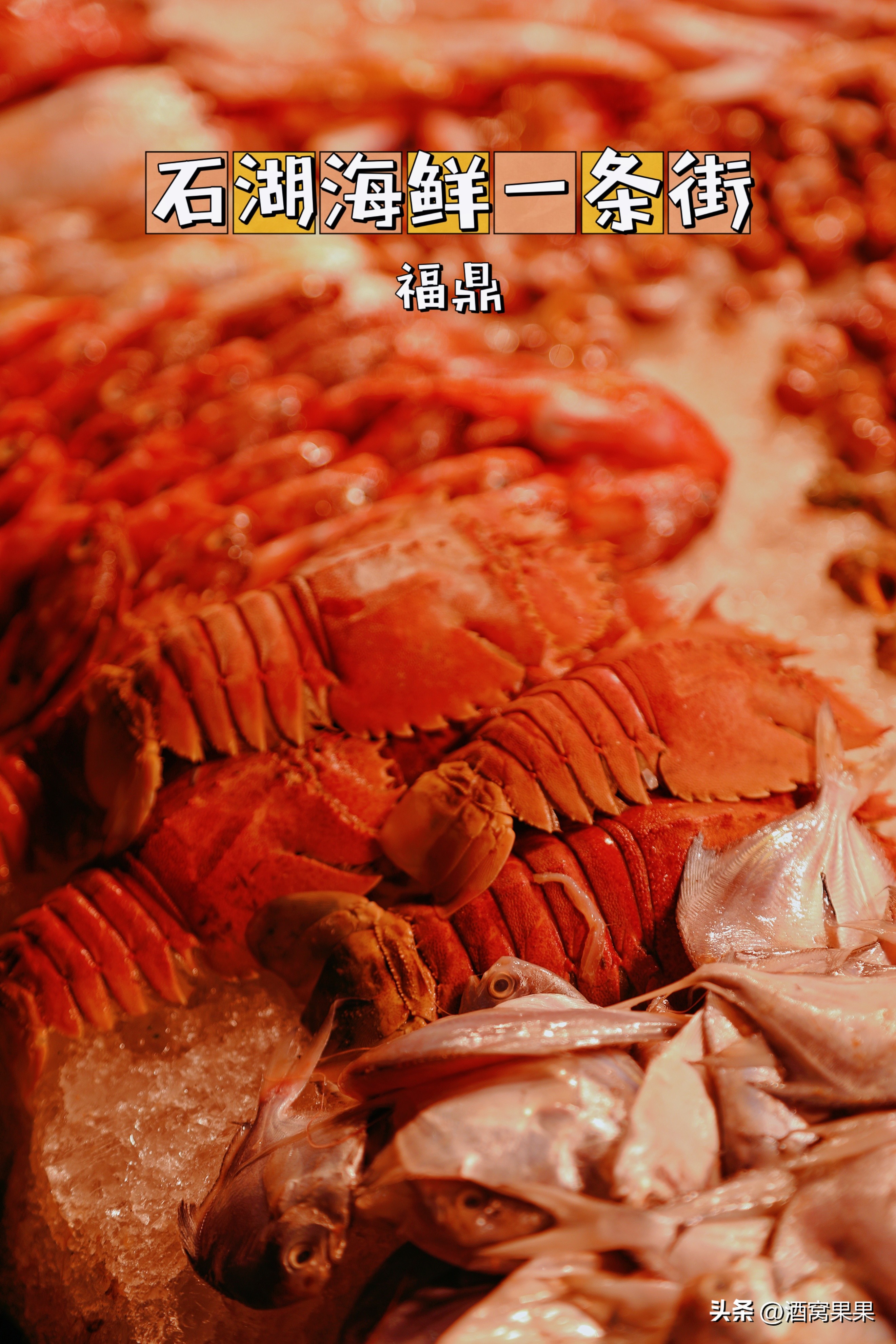 福鼎两天一夜旅游攻略,福鼎茶漫步茶园体验采茶之旅