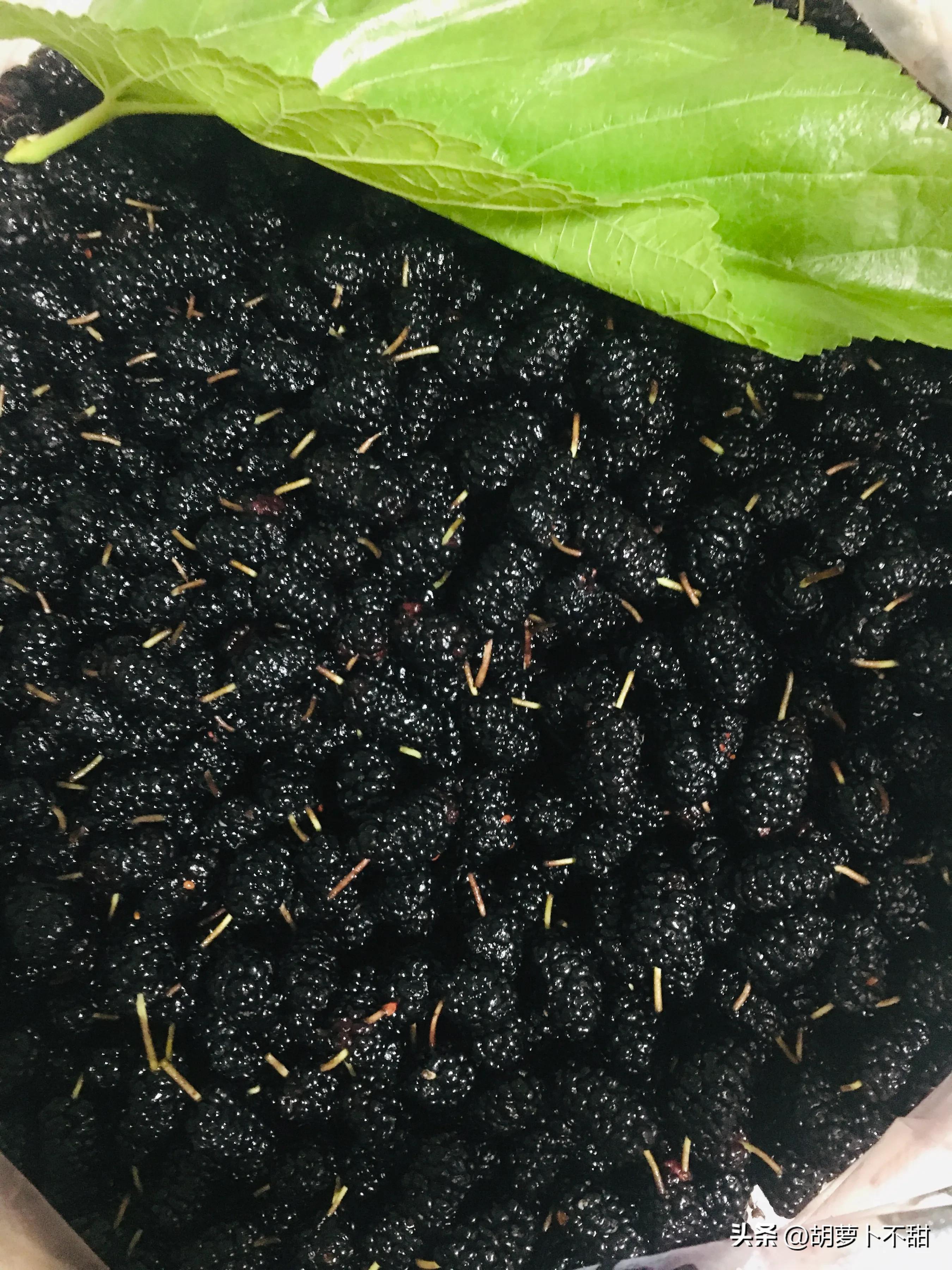 自制桑葚果酱可以保存多久,自制桑葚果酱有营养吗