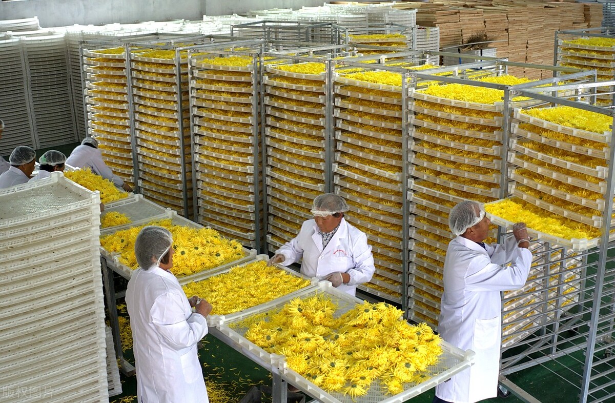 农民创业都有什么好项目好政策,最具市场潜力的农村创业方向