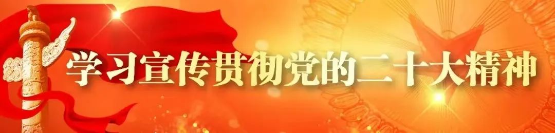 妇联宣讲学习贯彻二十大精神,社区妇联开展学习党的二十大精神
