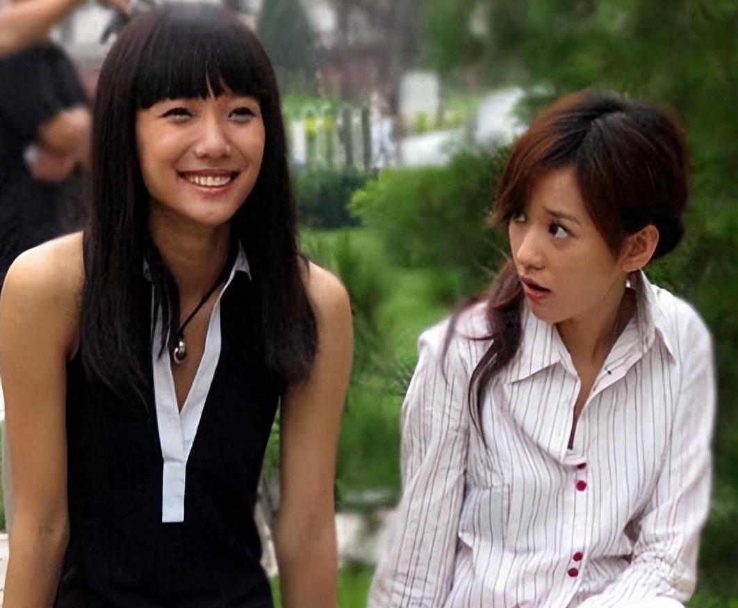 王珞丹丑小鸭的逆袭,王珞丹为什么能东山再起