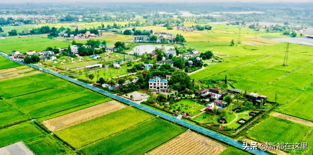 新都全国出名,新都区各乡镇排名