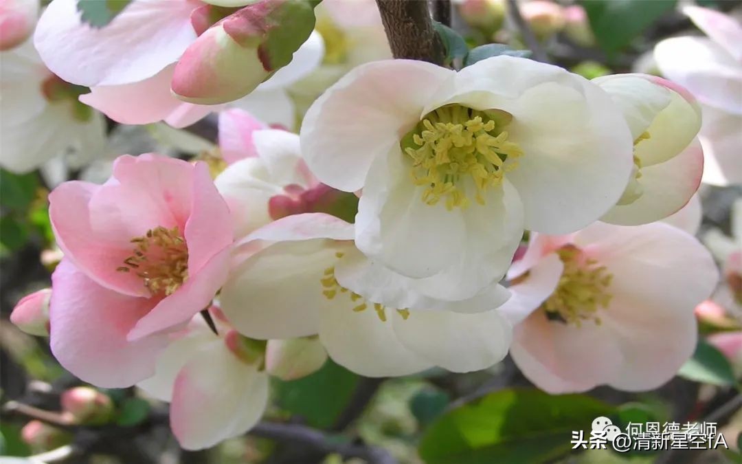 如何获得源源不断创作灵感,需要深厚的写作功底和灵感