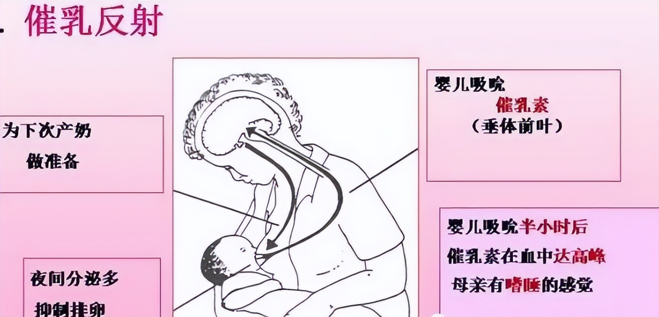 母乳喂养的宝宝需要观察什么呢,母乳喂养必看的十大技巧