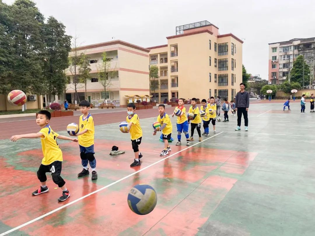 成都市双流区永安小学排球,九江市小学暑期托管