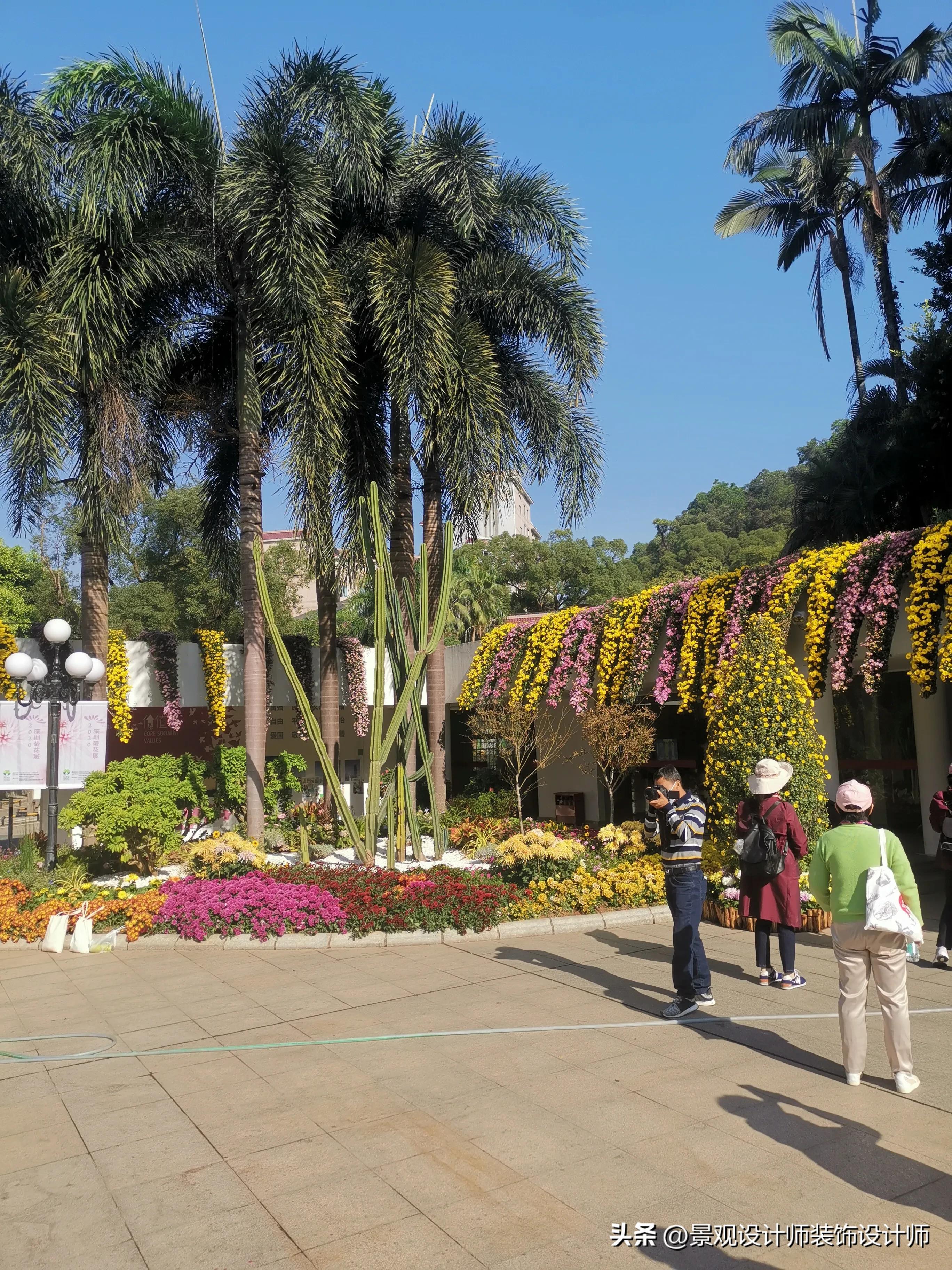 深圳市东湖公园广场舞,深圳市东湖公园收费标准