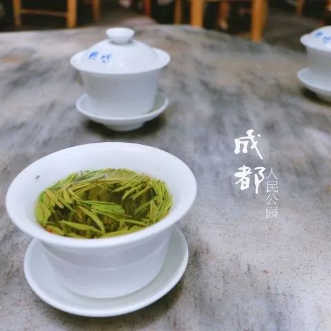 成都去北海自驾旅游攻略及花费,成都重庆九寨沟旅游攻略自由行