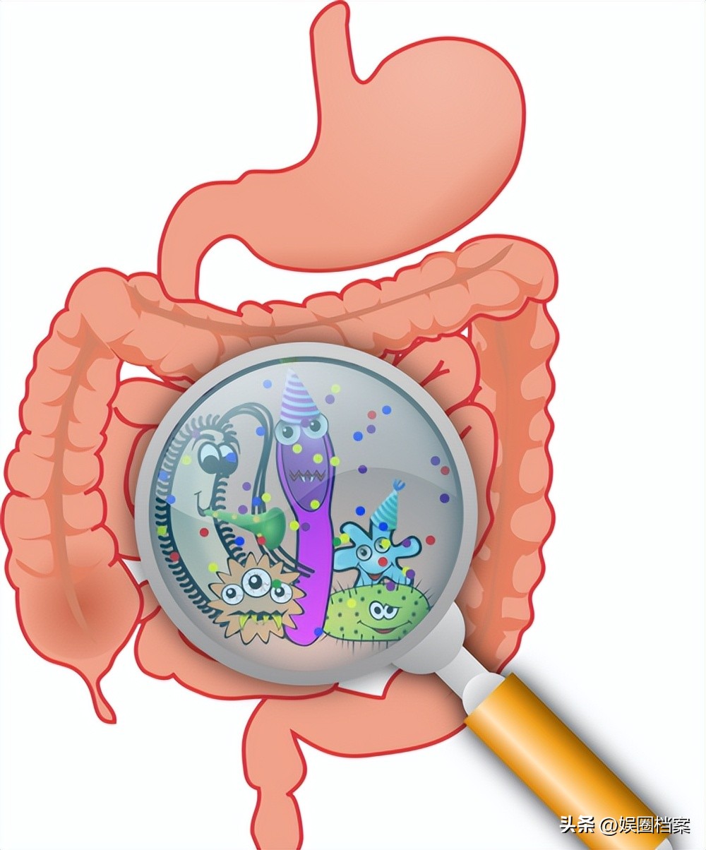 探究东部黑犀牛，激素代谢物和卵巢周期阶段肠道中微生物群的反应