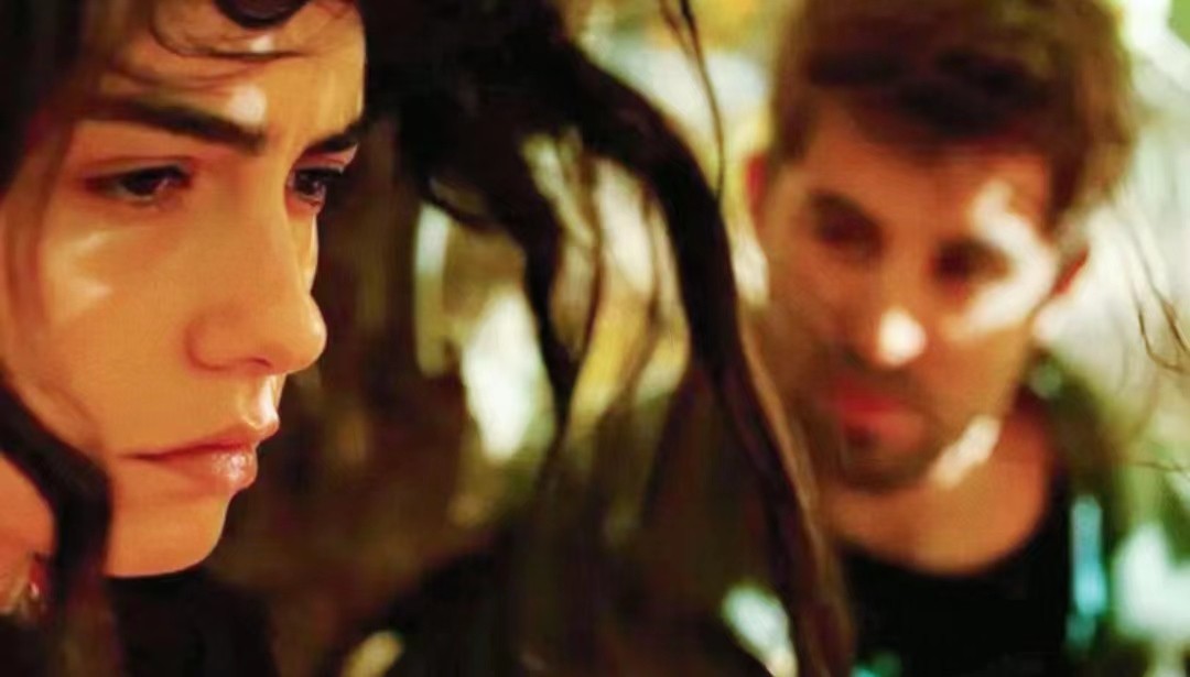 野梨树完整版免费观看,关于野梨树的电影