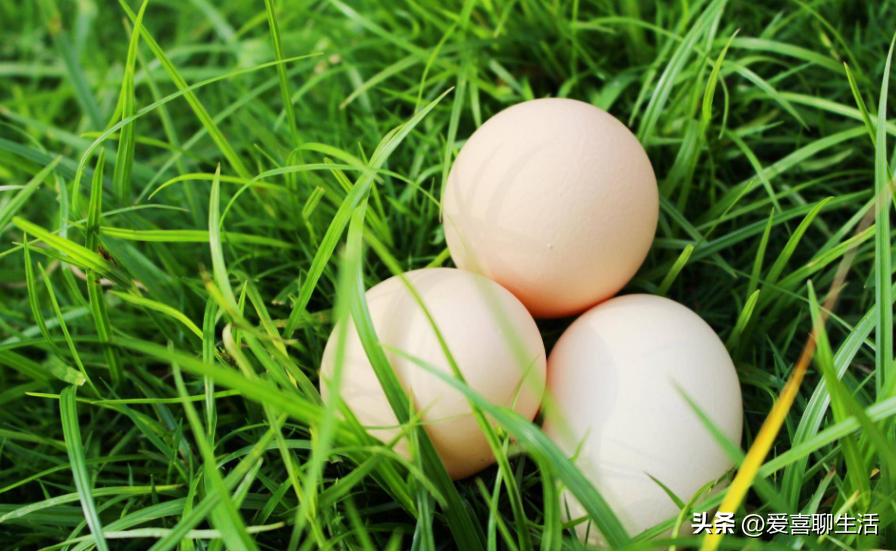 “阳康”后要注意，牢记“1不碰2不做3不丢4要吃”平稳度过恢复期