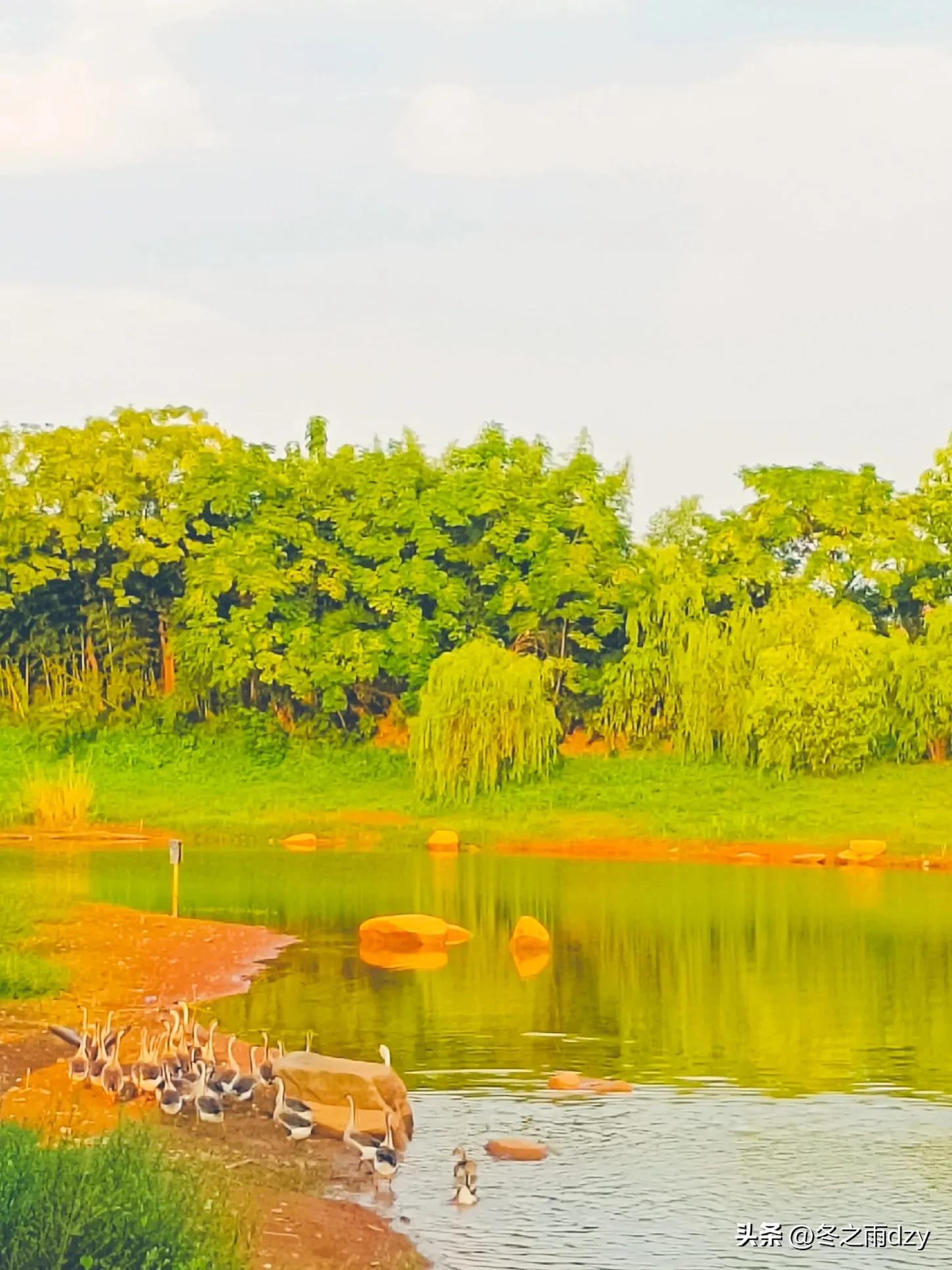 南昌舰主题园凤凰洲湿地公园,凤凰洲建军广场