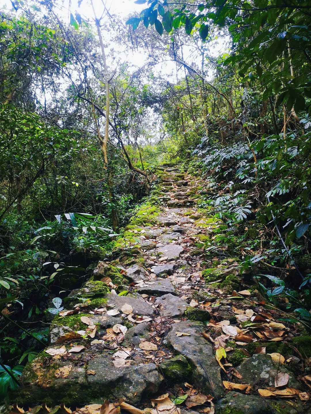 神秘毛南,中国毛南第一乡风景