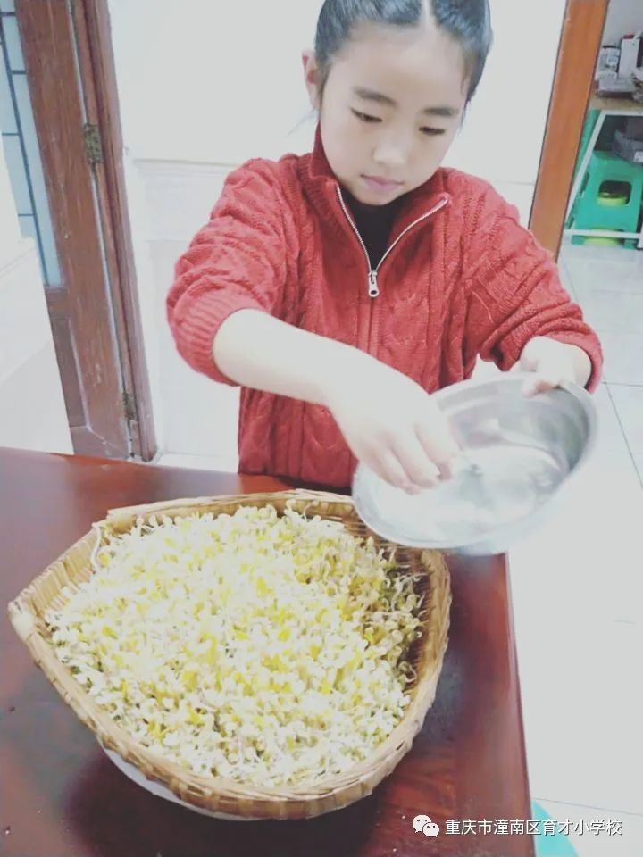 重庆劳动教育小学,重庆市潼南区育才小学的图片