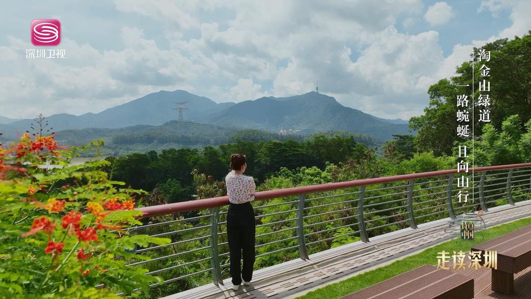 深圳哪里避暑最好玩,深圳避暑最佳旅游地