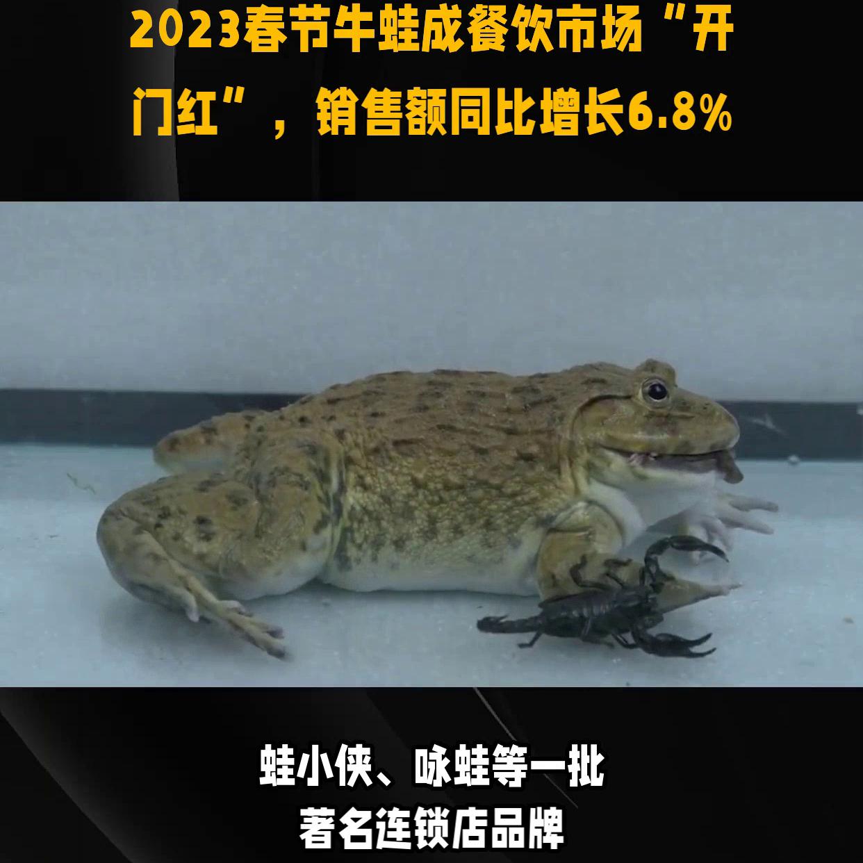 我国3月零售销售数据公布,2023年零售数据统计