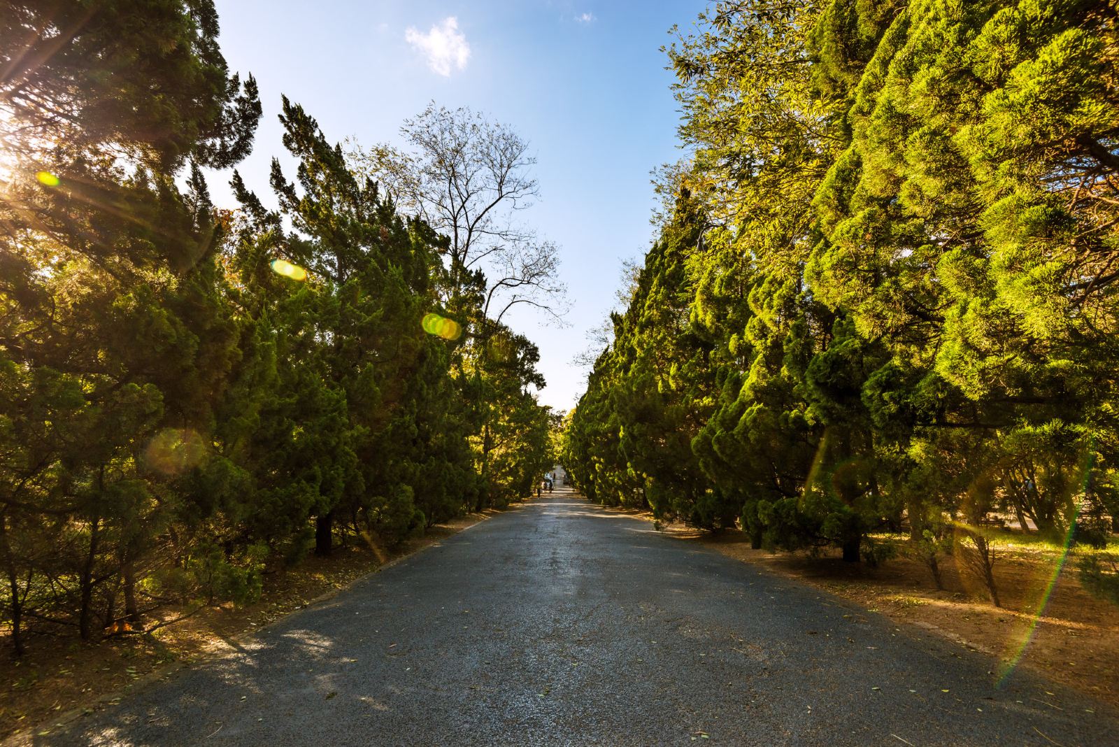 中国沿海自驾游青岛,浙江自驾青岛旅游攻略