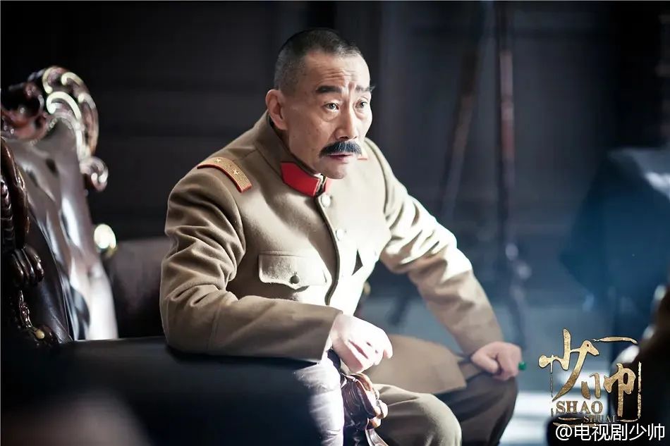 历史人物张学良少帅,少帅张学良这部片里的李雪健