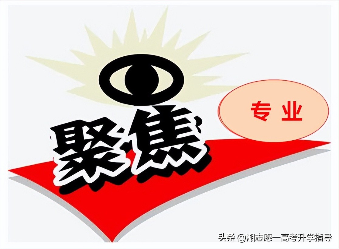 浙江树人学院和浙江万里学院,浙江万里学院院系