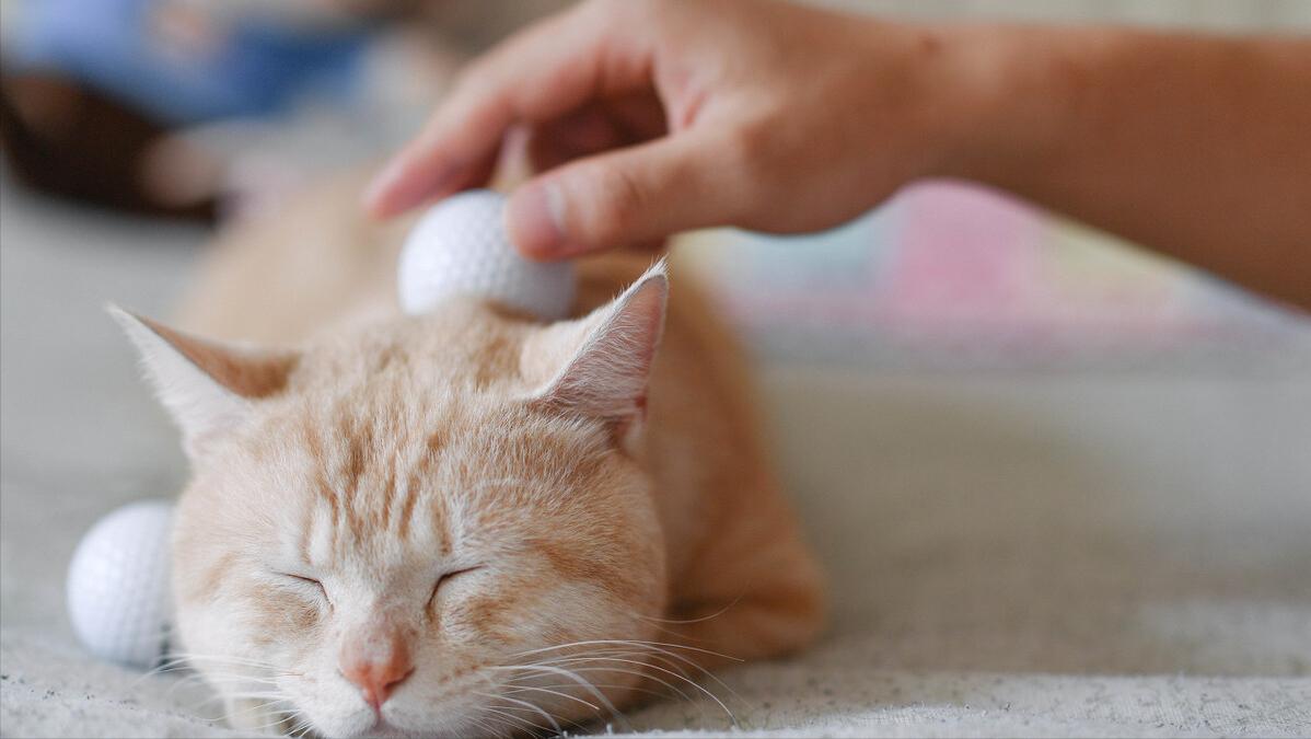 2023有什么赚钱的行业吗,2022有前途的10大行业