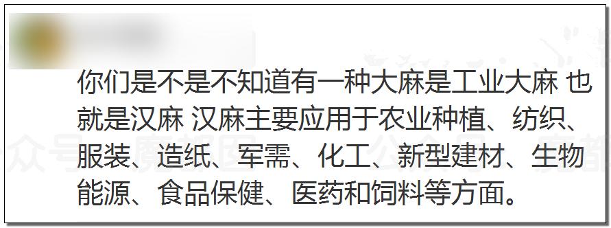 儿童刺绣亮片t恤,12个有毒童装品牌