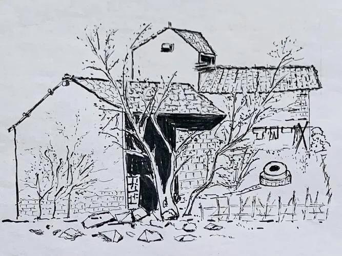 有关二丫的小说,二丫小说