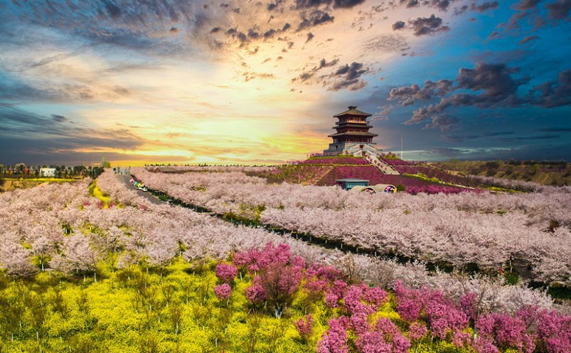 郑州市内旅游必去十大景点,郑州最值得去的十个景点